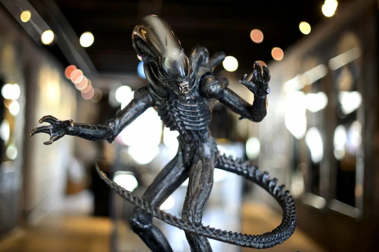 Женщина в костюме ксеноморфа. Aliens be out. Aliens be out. Aliens fireteam elite чужие. Королева чужих,ксеноморф.