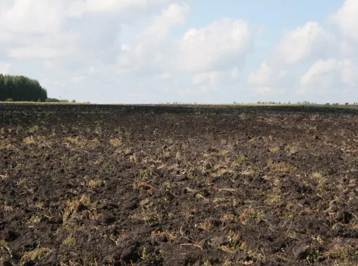 Невозделанное поле. Пахотные земли. Пашня под парами. Пашня под парами. Невспаханное поле.