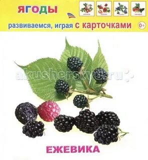 Карточки ягоды для детей