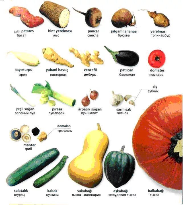 Овощи русско английский. Овощи названия. Овощи по названию. Название овощей по турецки. Овощи на турецком языке.