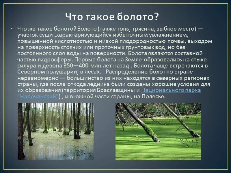 Значение болота. Изучение болот. Что такое болото кратко. Польза болот для человека. Почвы формируется в условиях избыточного увлажнения