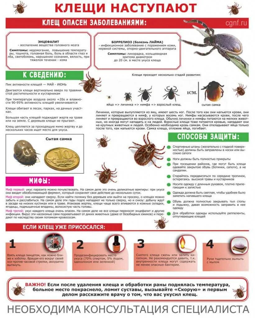 Профилактика клещевого энцефалита памятка. Профилактика укусов клещей памятка. Памятка для родителей и детей клещевой энцефалит. Памятка осторожно клещевой энцефалит. Клещевой энцефалит памятка для родителей.