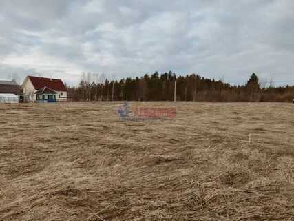 Авито участки ленинградская область