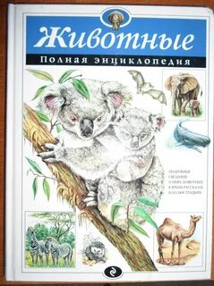 Энциклопедия ю