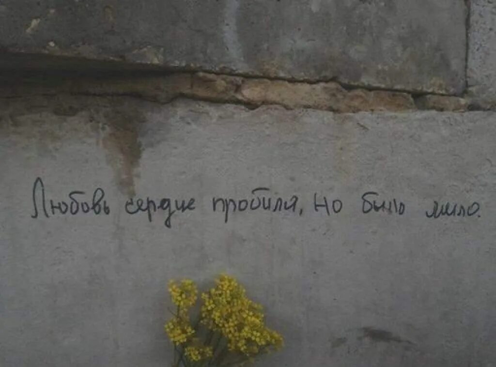 Цитаты про стены. Надписи на стенах. цитаты на стенах. цитаты на стенах домов. грустные надписи на стенах.