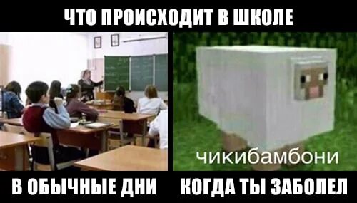 Что происходит в обычный день