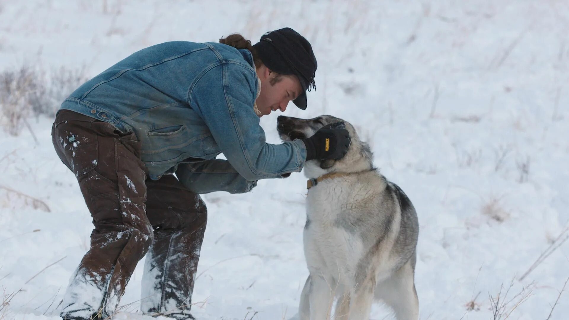 Собаки баб мужик. Дрессировщик собак с Nat geo Wild. Nattavee Nat Dog.