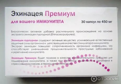 Эхинацея показания
