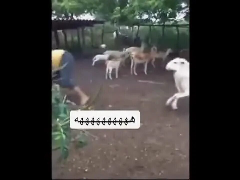Он был не готов к такому. Он был не готов к такому