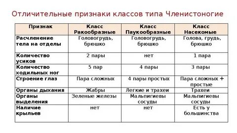 Сравнительная характеристика классов ракообразные и паукообразные