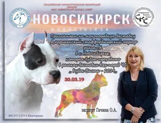 Форум академгородка собаки выставки