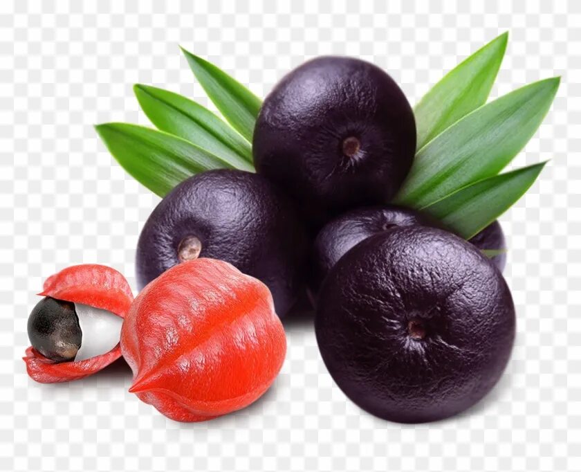 Acai berry. Ягоды асаи. Ягоды Acai Berry. Асаи ягоды асаи. Эвтерпа асаи.