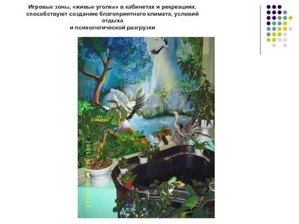 Угол жив
