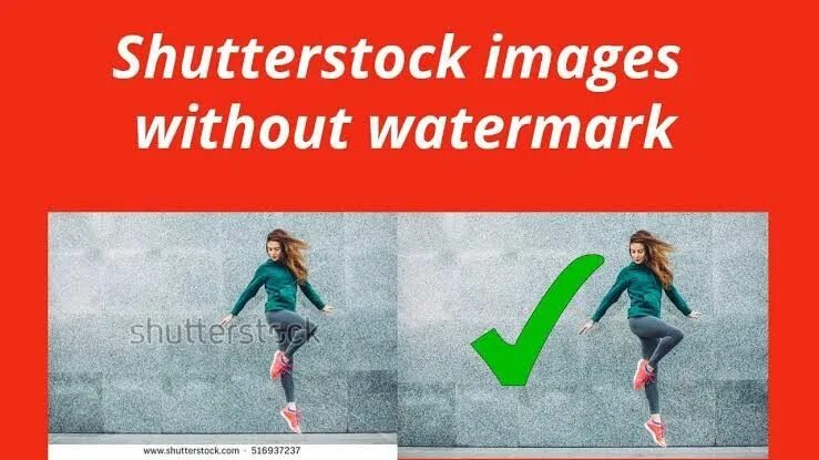 Водяной знак Shutterstock. Шаттерсток вотермарка. Фотографии вотермарка Shutterst. Фото с водяными знаками Shutterstock.