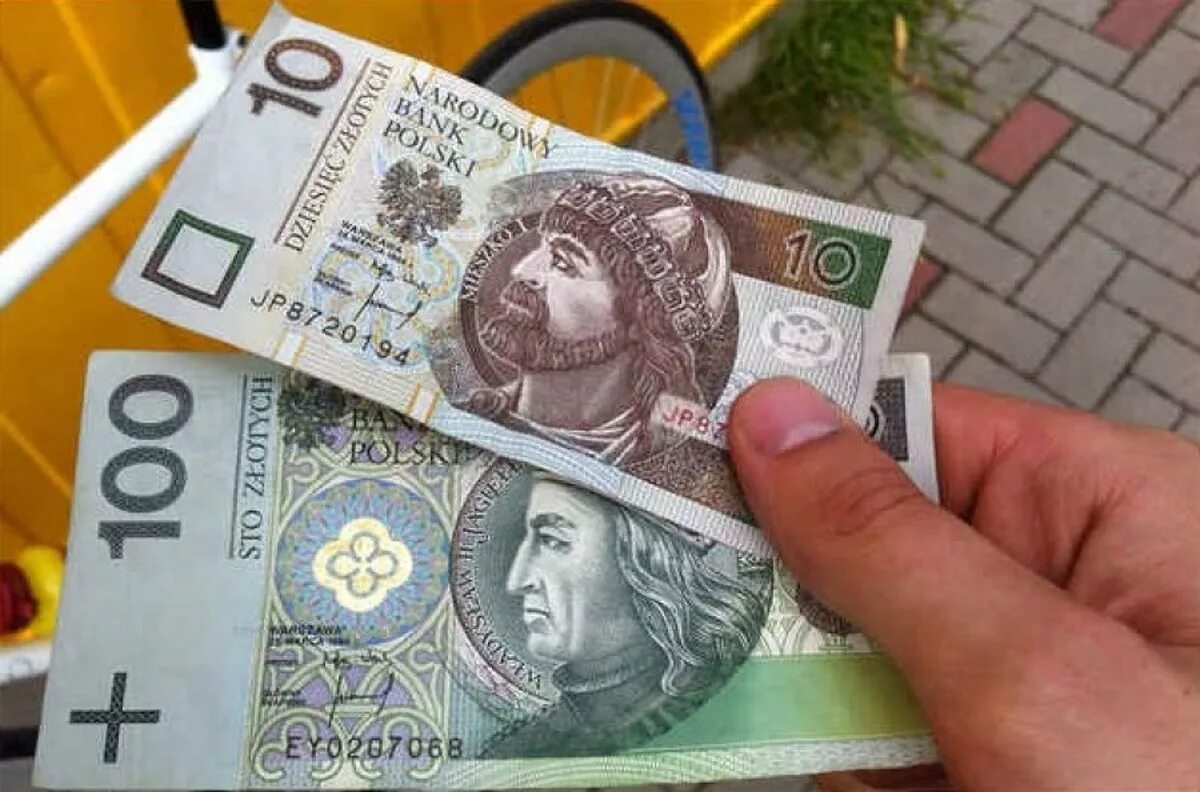 Польская денежная единица. Польские деньги. Валюта Польши. Польский злотый. Злотый валюта Польши.