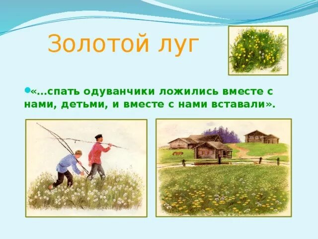 Рассказ пришвина золотой луг. Как сделать план по изложению. Сложный план и простой план отличия. Пришвин золотой луг текст. План золотой луг пришвин.