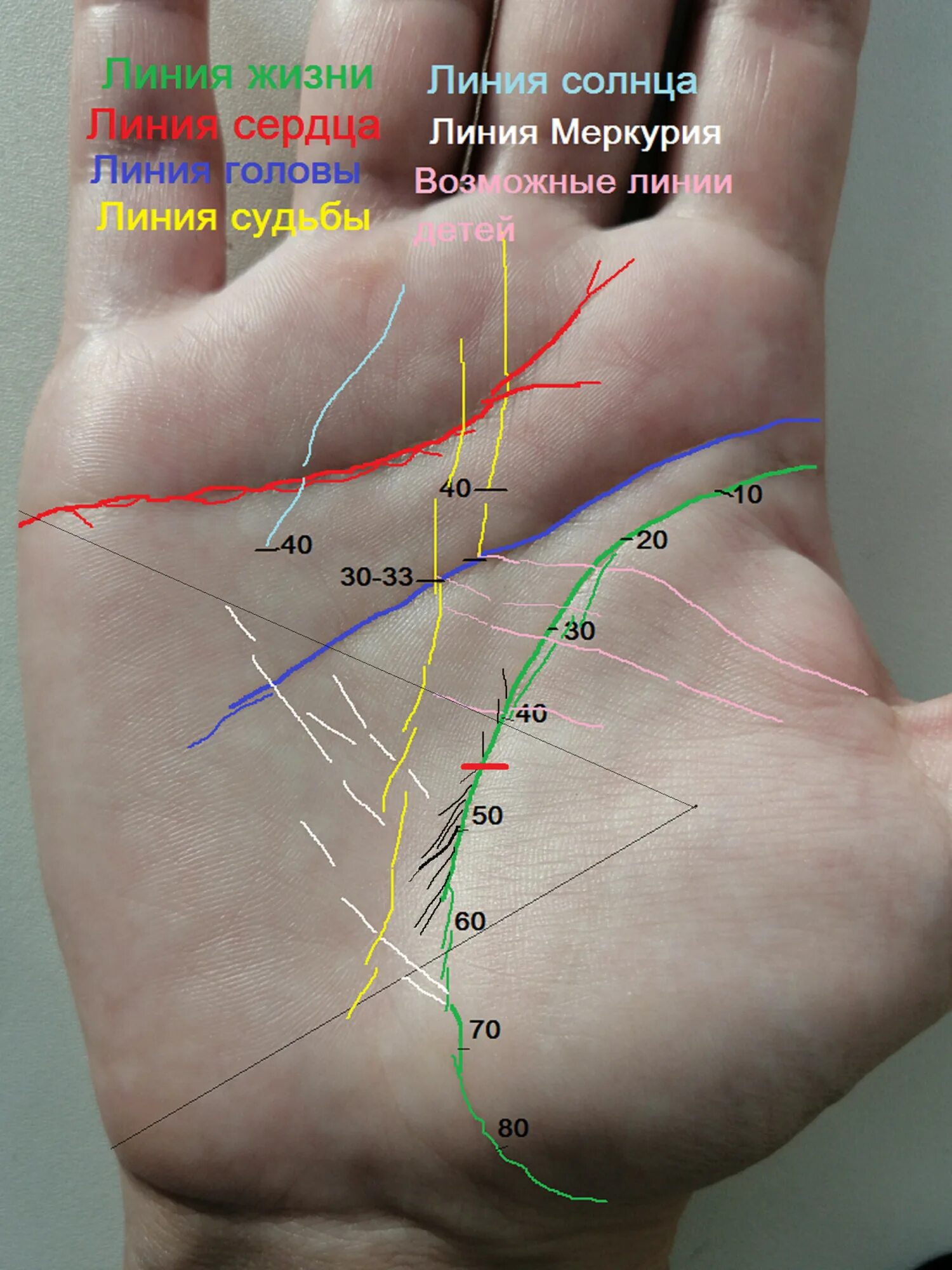 Четыре руки линий. Линия жизни. Линия жизни на руке. Линия жизни на ладони. Хиромантия линии.