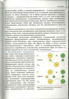 Конспект по биологии 10 параграф