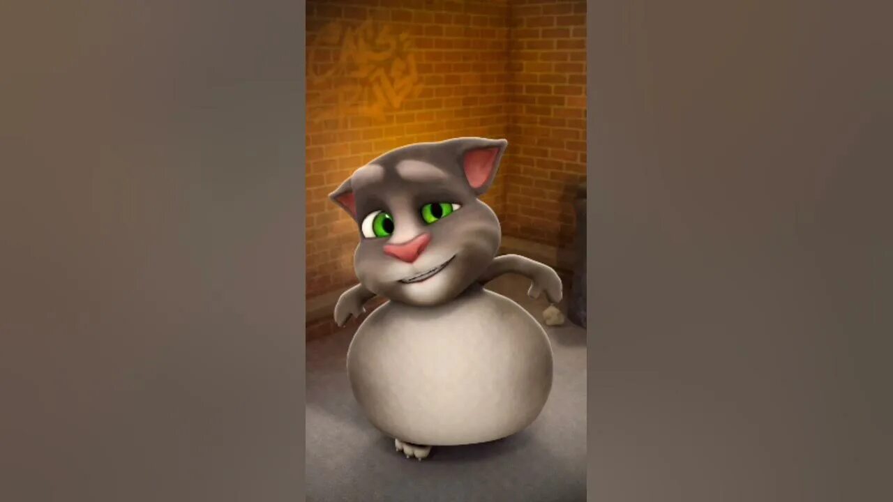 Маленький котик том. Talking Tom Cat. Talking Tom 2005. Толстый кот том. Говорящий том толстый.