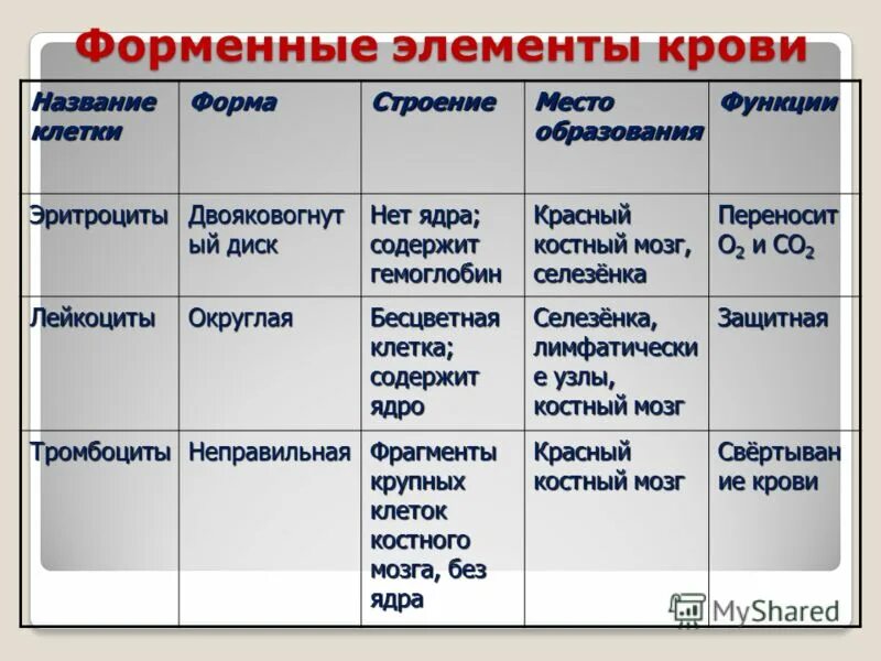 Форменные элементы формы. Функции форменных элементов крови таблица. Название форменных элементов крови таблица. Клетки крови их строение и функции. Форменные элементы крови таблица анатомия.