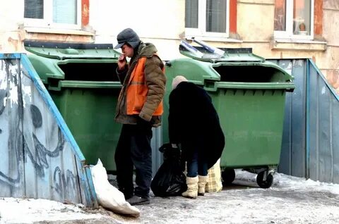 Кто рылся в мусорном ведре
