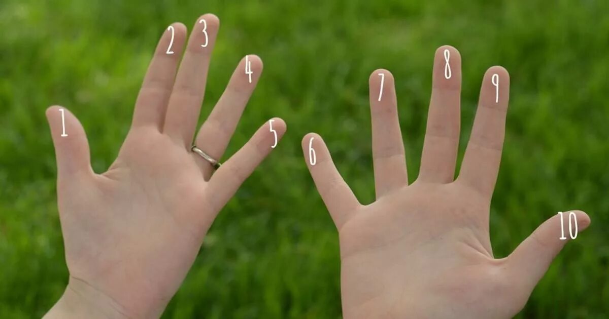 Десять пальцев. 10 Пальцев на руке. Считаем пальчики. Можно считать на пальцах