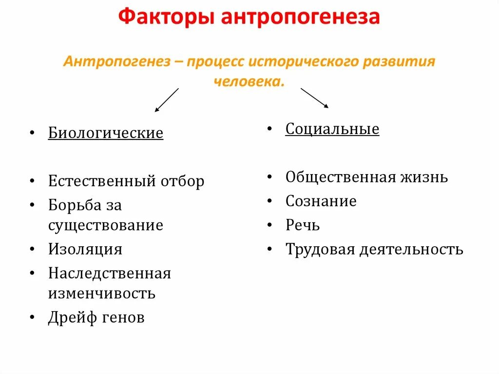 Социальные факторы эволюции сыграли решающую. Движущие силы антропогенеза таблица биологические факторы. Движущие силы антропогенеза биологические факторы их роль. Перечислите биологические факторы антропогенеза. Перечислите основные факторы антропогенеза.