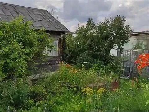 Садоводство степное укладочный. Снт сельский строитель барнаул. Дача кляча. Снт сельский строитель барнаул. Дачи сельский строитель.