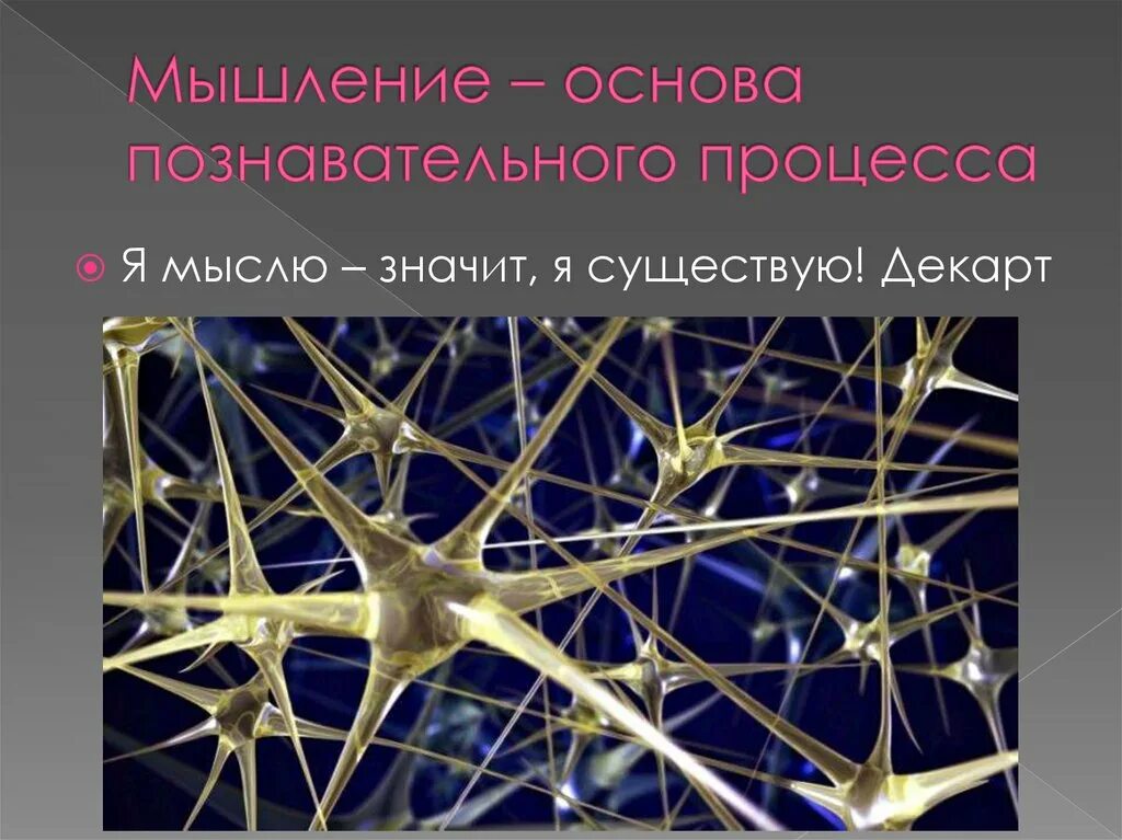 Закономерности работы мозга. Закономерности работы головного мозга презентация. Закономерности работы головного мозга 8 класс. Закономерности работы головного мозга кратко.