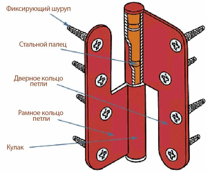 Части шарнира. Из чего состоит дверной шарнир. Составные части дверной петли. Как называются части дверной петли. Как называются элементы дверной петли.