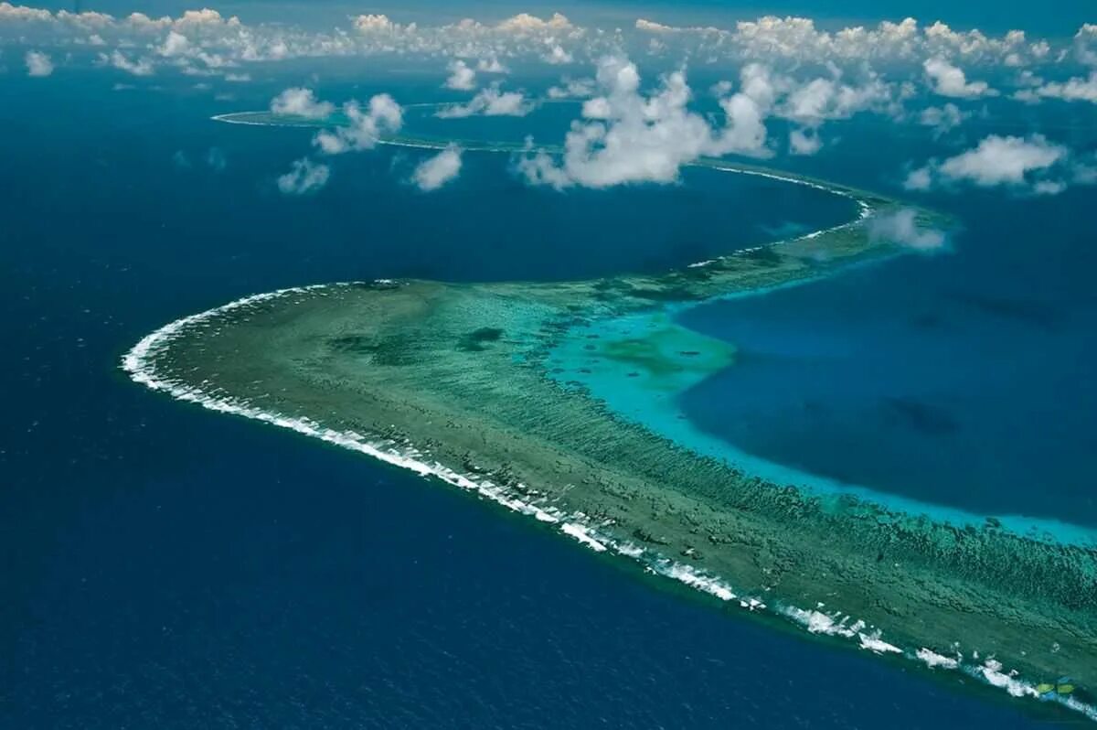 Сами больше море в мире. Большой Барьерный риф Австралия. Коралловый Барьерный риф в Австралии. Большой Барьерный риф ЮНЕСКО. Большой рельефный риф в Австралии.