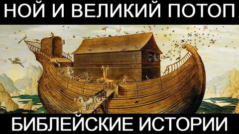 Ной строй