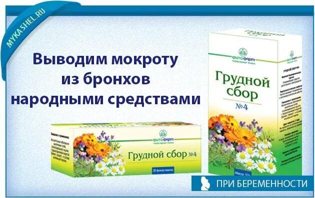 Лекарство выводящее мокроту. Травяные сборы для разжижения мокроты. Отхаркивающие средства травы. Травяные таблетки отхаркивающие. Травяной сбор для отхаркивания мокроты.