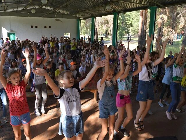 лагерь маяк в гатчинском районе. дол маяк гатчинский район. лагерь третья смена. лагерь третья смена. детский лагерь фестивальный.