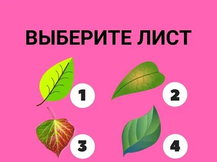 Тест в картинках с ответами