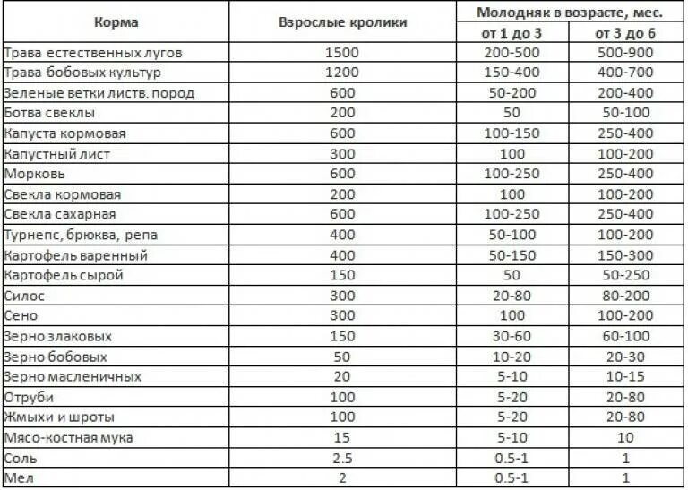 Кормовая свекла для кроликов. Можно ли кроликам давать картошку. Можно ли давать кроликам сырую картошку. Можно давать кроликам картошку.