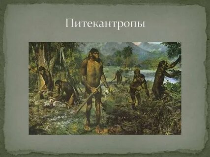 Питекантроп это