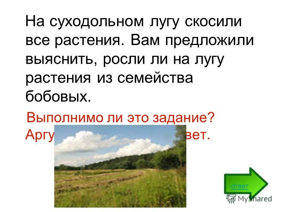 Растения суходольных лугов. Растения суходольного Луга. Суходольного Луга презентация. Растение на Суходольном лугу это. 1 не скошенная на лугу трава