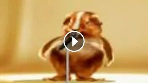 Хомяк танцует видео
