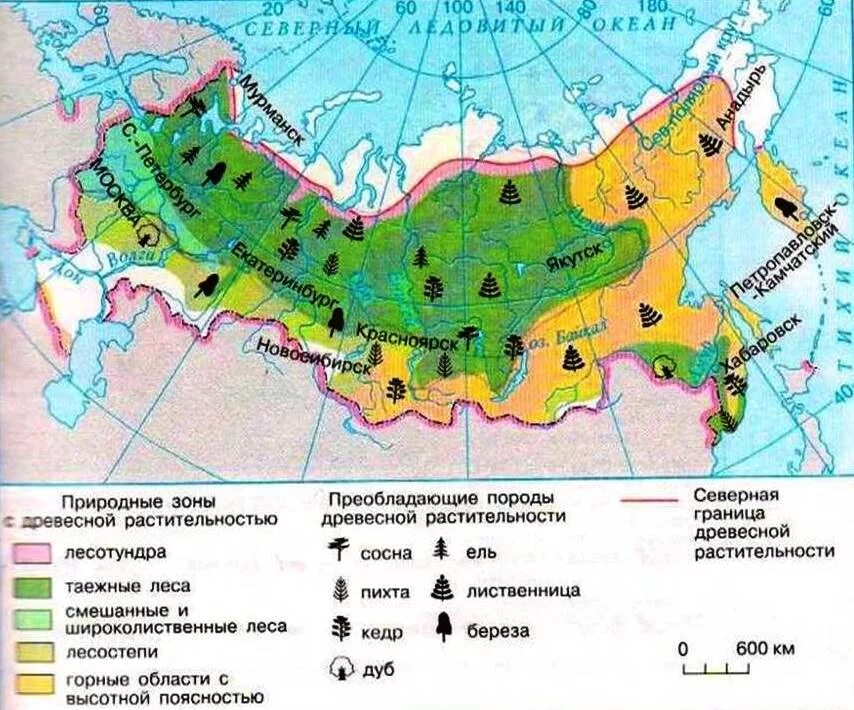 Природная зона россии самая маленькая по занимаемой. Карта природных зон России широколиственные леса. Природная зона лесов на карте России. Карта природных зон России Лесные зоны. Карта природных зон России 4.