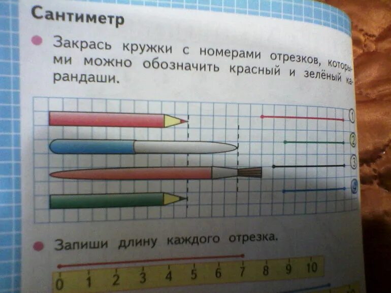 Закрась кружки с номерами отрезков