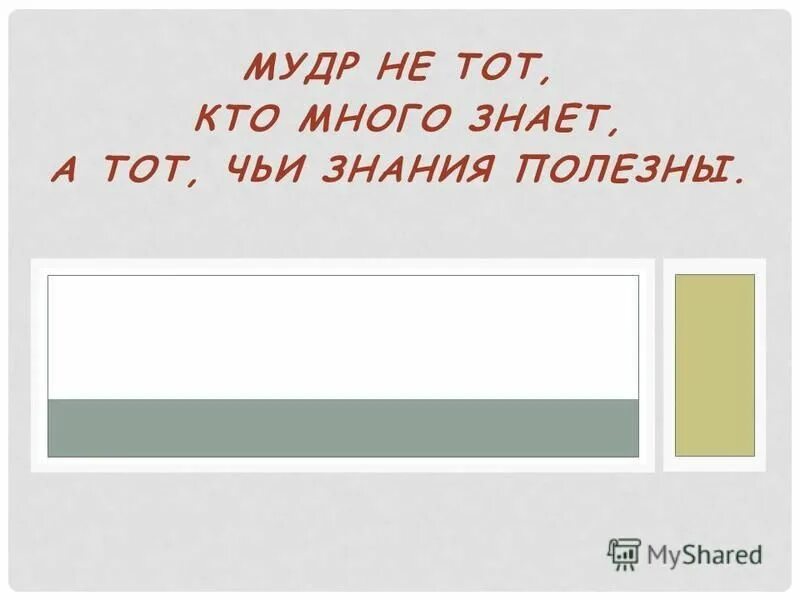 цитаты про знания. мудр не тот кто много знает. умный не тот кто много знает. мудр тот кто знает не многое а нужное. мудрый не кто много знает.