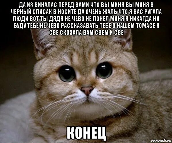 Поговори нормально определись во всем детально. Очень жаль очень жаль. Очень жаль картинки. Мне очень жаль тебя. Картинки жаль очень жаль.