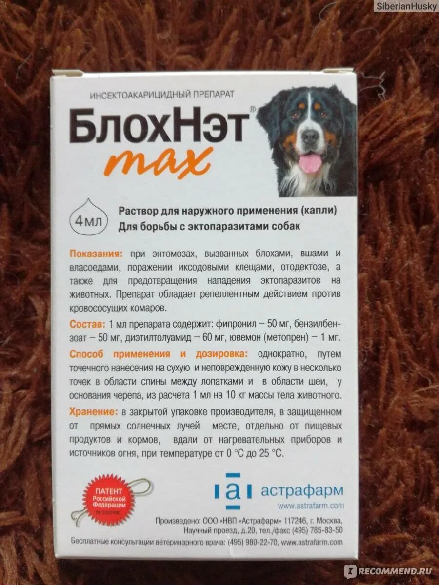 Блохнэт применение. Блохнэт для кошек капли инструкция. блохнэт для кошек инструкция. блохнэт для собак инструкция. как наносить блохнэт собаке.
