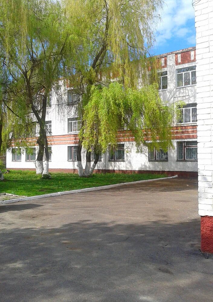 школа 35 орел. школа 35 участок. школа 35 иркутск. школа номер 35 орел. школа 35 внутри.