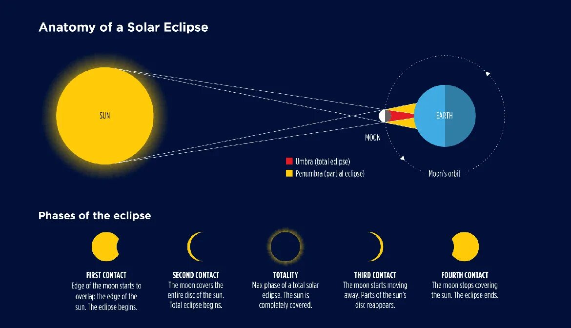 Солнечное затмение инфографика. Фёрст затмение. Орбита Луны. Тотал Эклипс Мун.