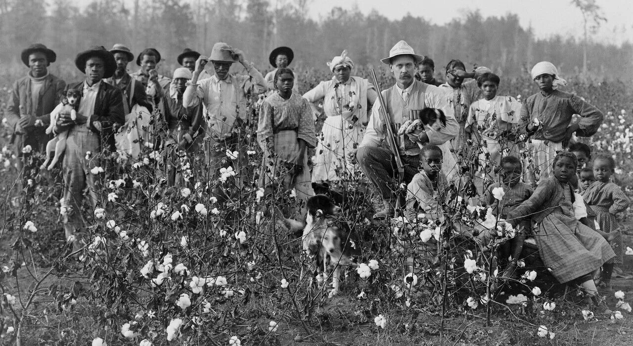 Плантации рабыни. Хлопковые плантации США В 19 веке. Плантаторы Южане в США 19 века. Плантации хлопка в США 19 век. Рабство в США 19 век на плантациях хлопка.