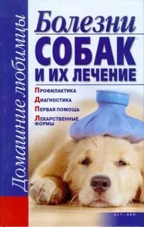 Болезни собак корм