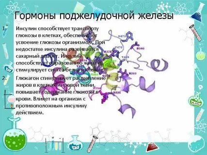Инсулин способствует