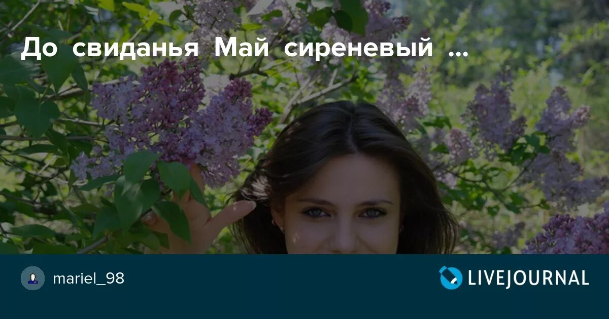 Звонкий май. До свидания сиреневый май. Май Прощай сирень.